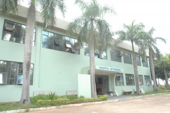 Hospital Veterinário inicia atendimentos